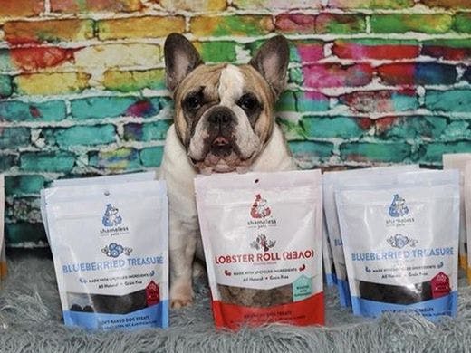 Taking a bite out of the pet food market: True invests in Shameless Pets